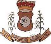 Bandeira Brasão de Engenheiro Navarro