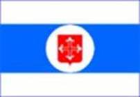 Bandeira Brasão de Estiva