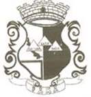 Bandeira Brasão de Fama