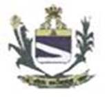 Bandeira Brasão de Felício dos Santos