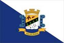 Bandeira Brasão de Felixlândia