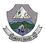 Bandeira Brasão de Francisco Badaró