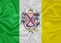 Bandeira Brasão de Gameleiras