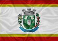 Bandeira Brasão de Gonzaga