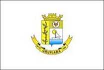 Bandeira Brasão de Grupiara