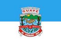 Bandeira Brasão de Guapé