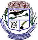 Bandeira Brasão de Iapu