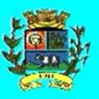 Bandeira Brasão de Ijaci