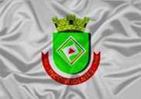 Bandeira Brasão de Inconfidentes