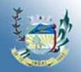 Bandeira Brasão de Ingaí