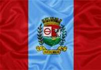 Bandeira Brasão de Iraí de Minas