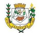 Bandeira Brasão de Japaraíba