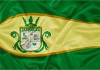 Bandeira Brasão de Japonvar