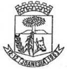 Bandeira Brasão de Joanésia