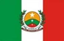 Bandeira Brasão de Juvenília