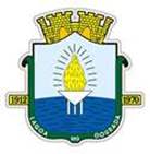 Bandeira Brasão de Lagoa Dourada