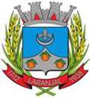 Bandeira Brasão de Laranjal