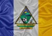 Bandeira Brasão de Leandro Ferreira