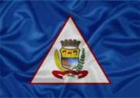 Bandeira Brasão de Machado