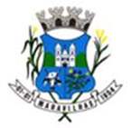 Bandeira Brasão de Maravilhas