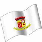 Bandeira Brasão de Mateus Leme