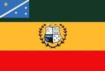 Bandeira Brasão de Monte Alegre de Minas