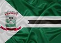 Bandeira Brasão de Nanuque