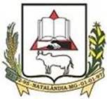 Bandeira Brasão de Natalândia