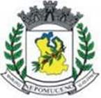 Bandeira Brasão de Nepomuceno