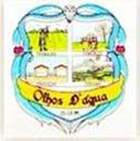 Bandeira Brasão de Olhos-d'Água