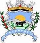 Bandeira Brasão de Palmópolis