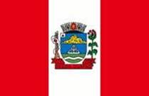 Bandeira Brasão de Passa Quatro