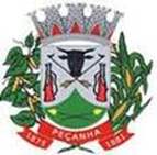 Bandeira Brasão de Peçanha