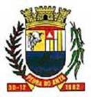 Bandeira Brasão de Pedra do Anta