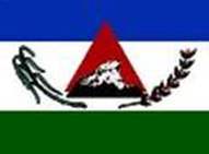 Bandeira Brasão de Pedralva