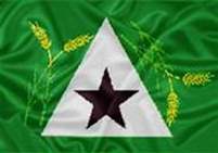 Bandeira Brasão de Pedrinópolis