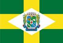 Bandeira Brasão de Pirapetinga