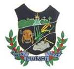 Bandeira Brasão de Piumhi