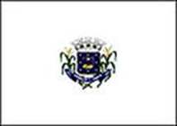 Bandeira Brasão de Prata