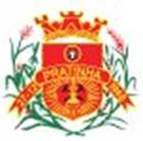 Bandeira Brasão de Pratinha