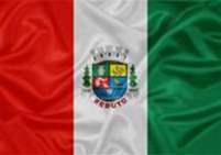 Bandeira Brasão de Reduto