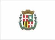 Bandeira Brasão de Rubelita