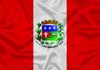 Bandeira Brasão de Santa Margarida