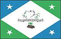 Bandeira Brasão de Santa Maria do Salto