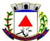 Bandeira Brasão de Santa Rita do Itueto