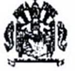 Bandeira Brasão de Santana do Garambéu