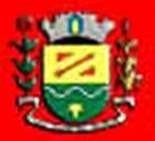 Bandeira Brasão de São Brás do Suaçuí