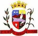 Bandeira Brasão de São Geraldo