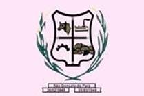 Bandeira Brasão de São Gonçalo do Pará