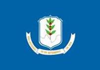 Bandeira Brasão de São Gotardo